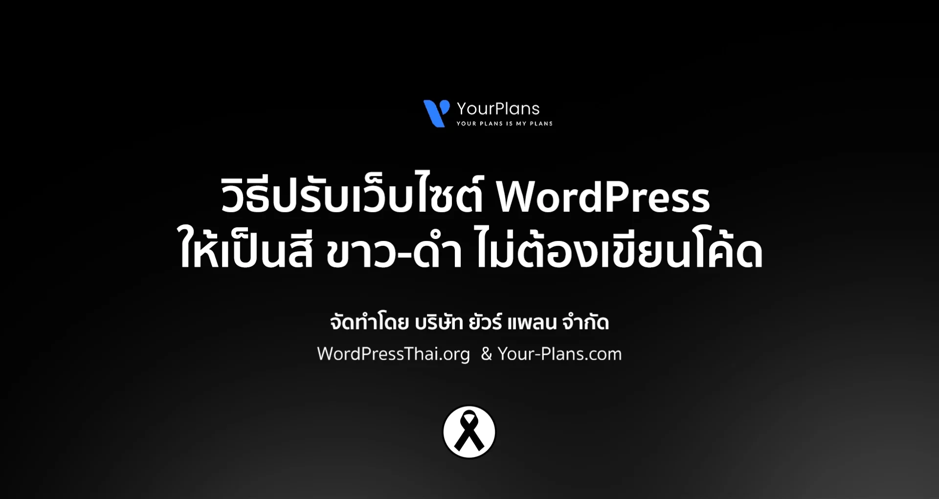 วิธีปรับเว็บไซต์ WordPress ให้เป็นสี ขาว-ดำ ไม่ต้องเขียนโค้ด